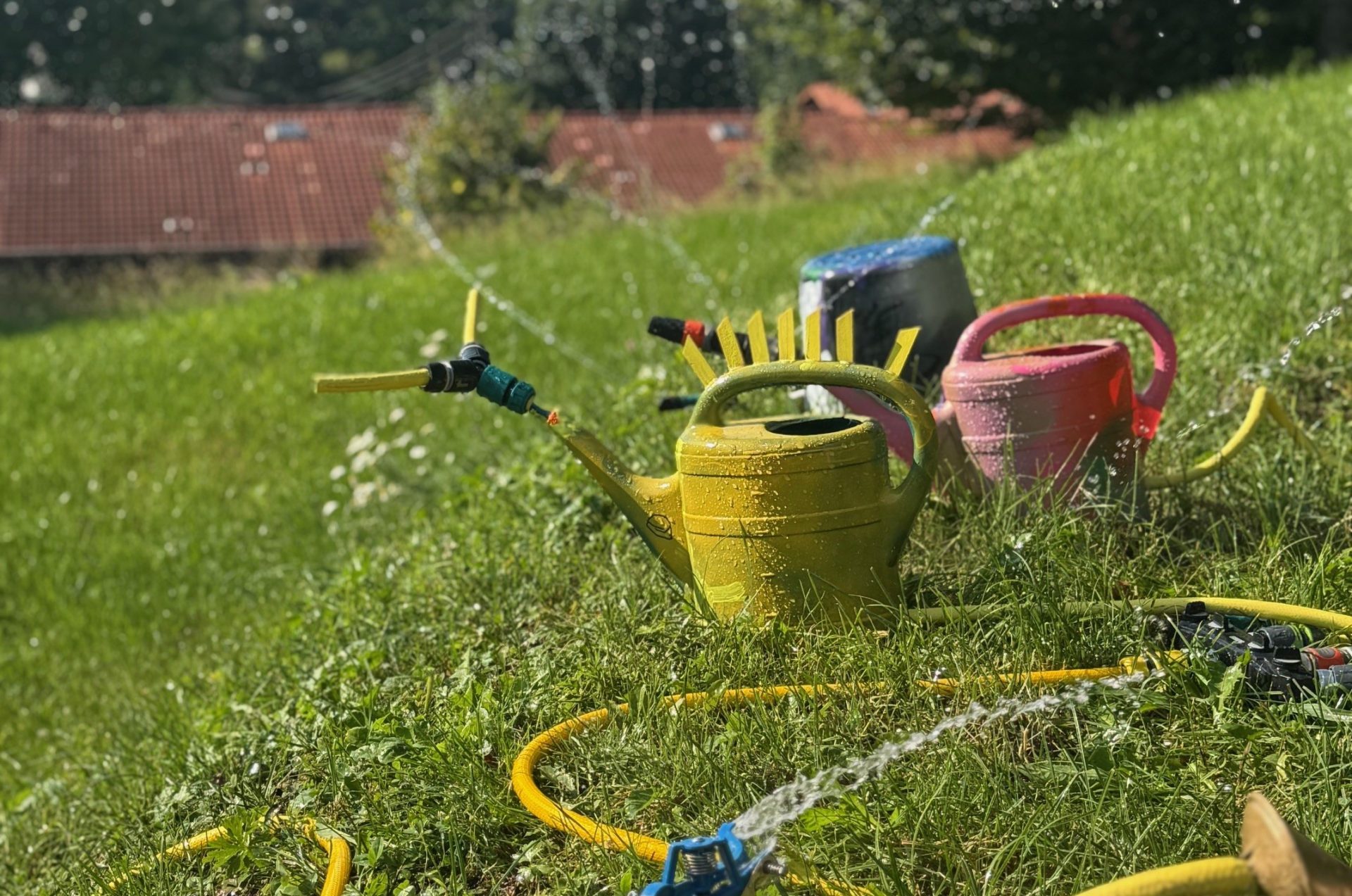 Gießkannen in verschiedenen Farben sind auf einem sonnigen Grashügel aufgereiht und werden mit Wasser aus einem gelben Schlauch besprüht. Im unscharfen Hintergrund sind Häuser mit roten Dächern und Bäume zu sehen.