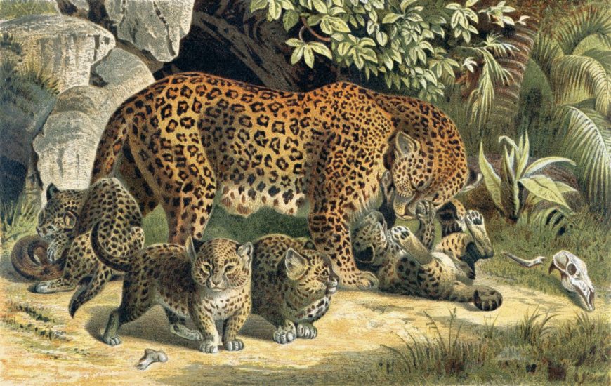 Ein Jaguar mit vier verspielten Jungtieren befindet sich auf einer Waldlichtung, umgeben von Felsen und üppigen Pflanzen. Ein Junges rollt sich auf dem Rücken, während die anderen stehen oder laufen. Tierknochen und ein Schädel liegen in der Nähe auf dem Boden.