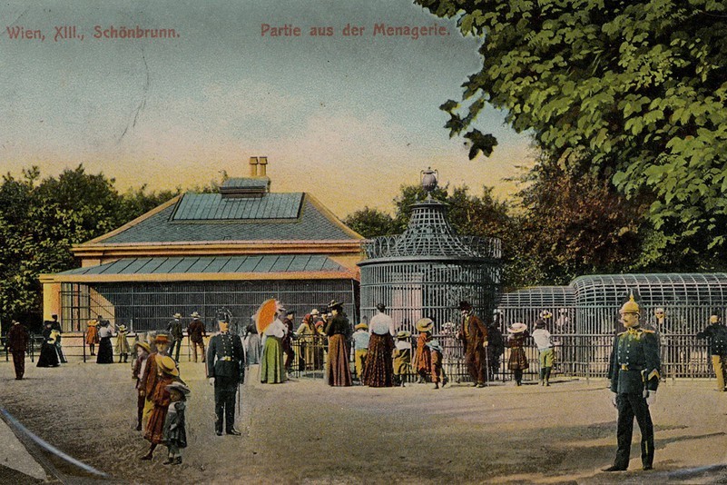 Eine alte Postkarte zeigt Menschen in Kleidung aus dem frühen 20. Jahrhundert, die sich vor den Tiergehegen im Wiener Tiergarten Schönbrunn versammelt haben. Einige Wächter in Uniform stehen in der Nähe, und Bäume säumen eine Seite der Szene.